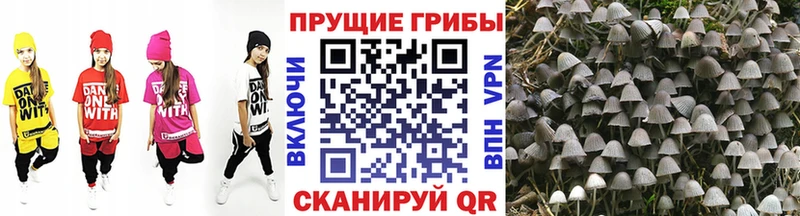 Галлюциногенные грибы мицелий  купить наркоту  Сретенск 
